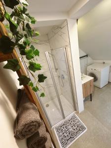uma casa de banho com um chuveiro e um WC. em Ferienwohnung Samy em Bayreuth