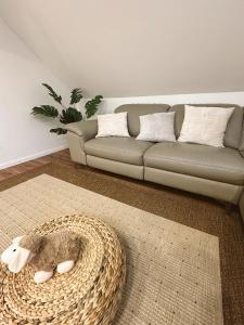 uma sala de estar com um sofá e um tapete em Ferienwohnung Samy em Bayreuth