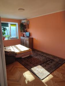 a living room with orange walls and a rug at One room in apartment in the park center area of Chisinau in Chişinău