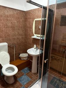 un baño con inodoro y lavabo en Pensiunea Daiadela, en Duşeşti 34 fotos más