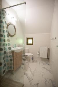 GREEN ROSIA في Lazuri: حمام مع مرحاض بالوعة ومرآة