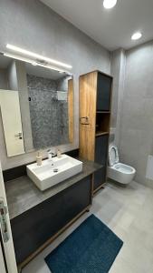 a bathroom with a sink and a toilet at South Apartmani in Vranje