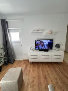 Televízia a/alebo spoločenská miestnosť v ubytovaní Apartmani Vice
