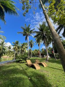 um parque com um banco na relva com palmeiras em Flake Farmville 