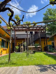 Zahrada ubytování Landgasthof Zum Alten Weinstock + 19 fotografií