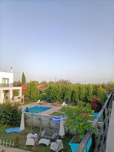 a view of a swimming pool with chairs and umbrellas at Holistic Balance 