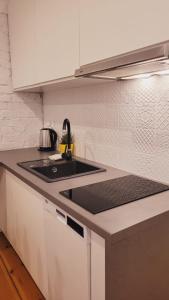 a kitchen with a sink and a counter top at apartament w centrum miasta in Bydgoszcz +8 photos