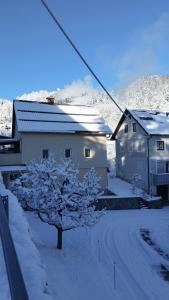 a house in the snow with a tree in front at Apartma B & O in Idrija