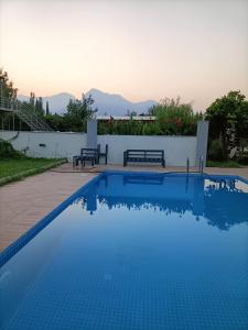 a swimming pool with two benches next to a wall at Holistic Balance 