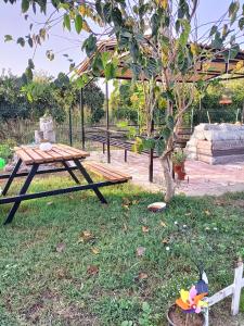 a picnic table and a tree in a yard at Holistic Balance 