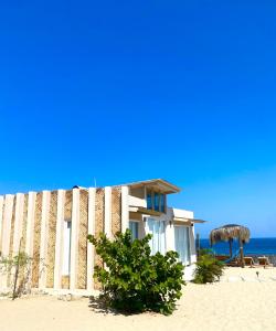 une maison sur la plage à côté de l'océan dans l'établissement Ribera Del Norte, à Canoas