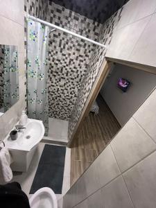 a bathroom with a sink and a shower and a toilet at Marina Studio in Galaţi