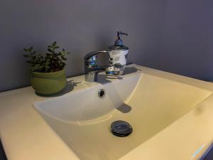 a white sink with a faucet and a plant at Domo ruta del vino Colchagua in Peralillo