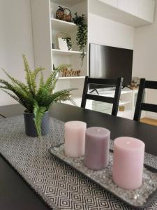 a table with two pink cups and a plant on it at Wörthersee: Gemütliche Wohnung in Klagenfurt