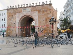 un hombre parado frente a un montón de pájaros en Hotel Marhaba - Beb Bhar Tunis, en Túnez