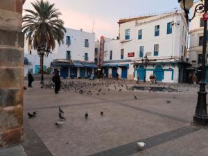 a group of pigeons on a city street with buildings at Hotel Marhaba - Beb Bhar Tunis in Tunis