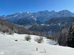 a snow covered slope with mountains in the background at Chalet Plein Soleil - 100% Nature & authenticité in Vers L'Eglise