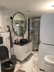 a bathroom with a sink and a toilet and a mirror at Slattum terrasse in Skytta