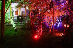 a garden with christmas lights in a yard at Beach Lagoon Guesthouse in Tangalle