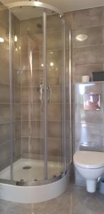 a bathroom with a shower and a toilet at Domek nad Krutynią in Piecki +47 photos