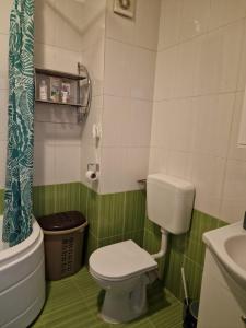 uma casa de banho verde e branca com um WC e um lavatório em Cosy Spacious Apartment with Parking, Wi-Fi, Smart-TV Netflix em Roşu