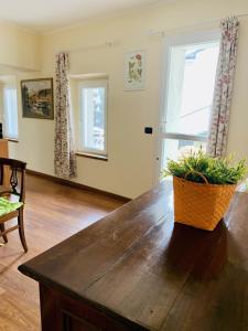 - un salon avec une table et une plante dans l'établissement Country Apartament - Malpassuti, à Carbonara Scrivia