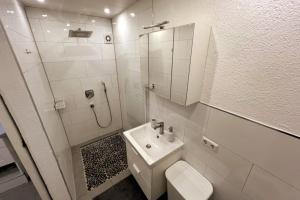 a bathroom with a toilet and a sink and a shower at Helle 1,5 Zimmer Wohnung in Höchberg