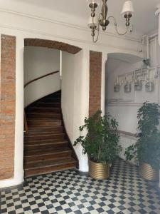 a staircase in a building with two potted plants at Casa Lais in Braşov