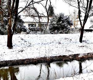 un champ enneigé avec des arbres et un étang dans l'établissement GARDEN VIEW near FRANKFURT ----- STAY LIKE AT HOME -----, à Hanau