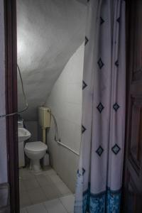 a bathroom with a toilet and a shower curtain at Maries Thasos Stone Villa in Mariaí