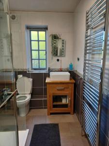a bathroom with a sink and a toilet and a window at The Gem - central character flat with parking in Southampton