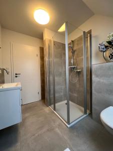 a bathroom with a shower and a sink at Ferienwohnung Meischen 4 Sterne DTV Klassifiziert in Bad Zwischenahn