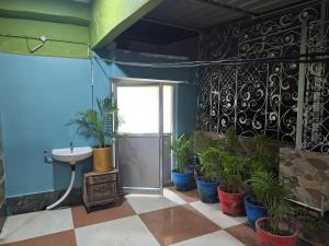 un bagno con piante in vaso e lavandino di Mavenoak Dreams B&B a Calcutta