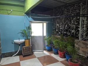 a bathroom with potted plants and a sink at Mavenoak Dreams B&B in Kolkata