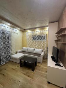 een woonkamer met een bank en een tv bij Lux Apartment Oasis in Rafailovici