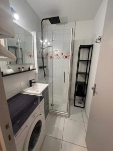 bagno con lavatrice e doccia di Ourea a Savignac-les-Ormeaux