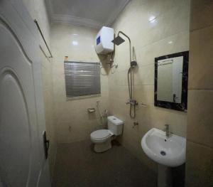 a bathroom with a toilet and a sink and a mirror at Owtee’s Apartments in Port Harcourt