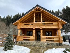 a log cabin in the snow with at Cabana Butura in Negulesti