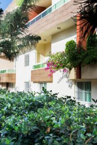 Zahrada ubytování Byblos Comfort Hotel
