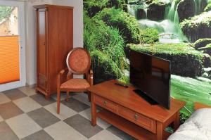Sjónvarps- og/eða afþreyingartæki á Boutique-Hotel UPGRADE