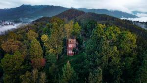 Fotografie z fotogalerie ubytování Inspira ella v destinaci Ella