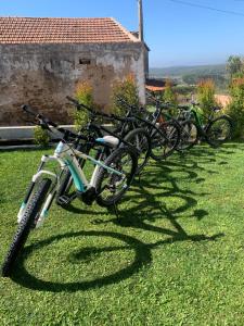a row of bikes parked in the grass at Bedebike in Óbidos