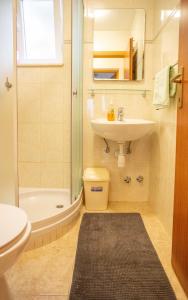 a bathroom with a sink and a toilet and a shower at Apartments Plenković in Stari Grad +70 photos