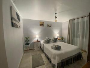 Postel nebo postele na pokoji v ubytování Hostal Ruta del Desierto