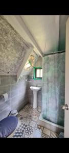 a bathroom with a shower and a sink and a toilet at Refugio de bosque altos de ñancul in Panguipulli