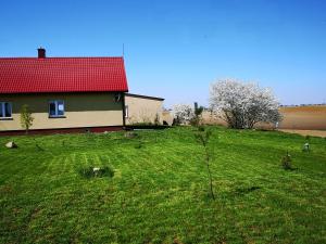 a house with a red roof on a green field at Dalekie Niebo - przytulny dom wczasowy 