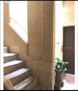 een trap met een potplant naast een deur bij Studio centre historique in Arles