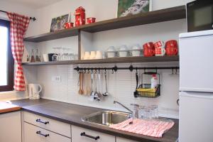 Apartment Apolon planinski في ديلنايس: مطبخ مع مغسلة وثلاجة بيضاء
