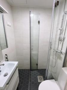 La salle de bains est pourvue d'une douche, de toilettes et d'un lavabo. dans l'établissement Värikäs koti lähellä keskustaa, à Helsinki