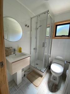 een badkamer met een douche, een wastafel en een toilet bij Refugio Río Roberto in Villa Santa Lucía